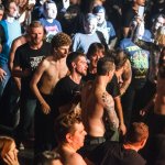 ektomorf-207