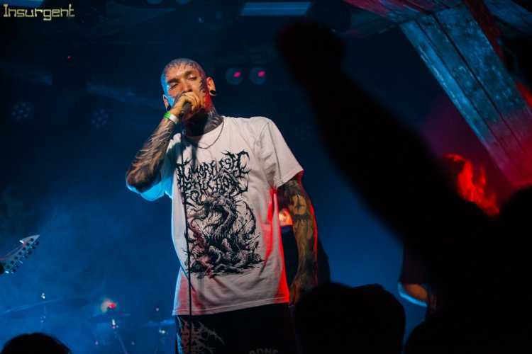 brutalmashfest3-129.jpg